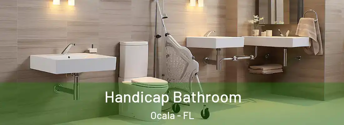 Handicap Bathroom Ocala - FL